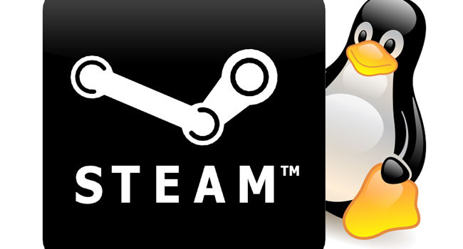 Steam 1500 Giochi Nativi per Linux